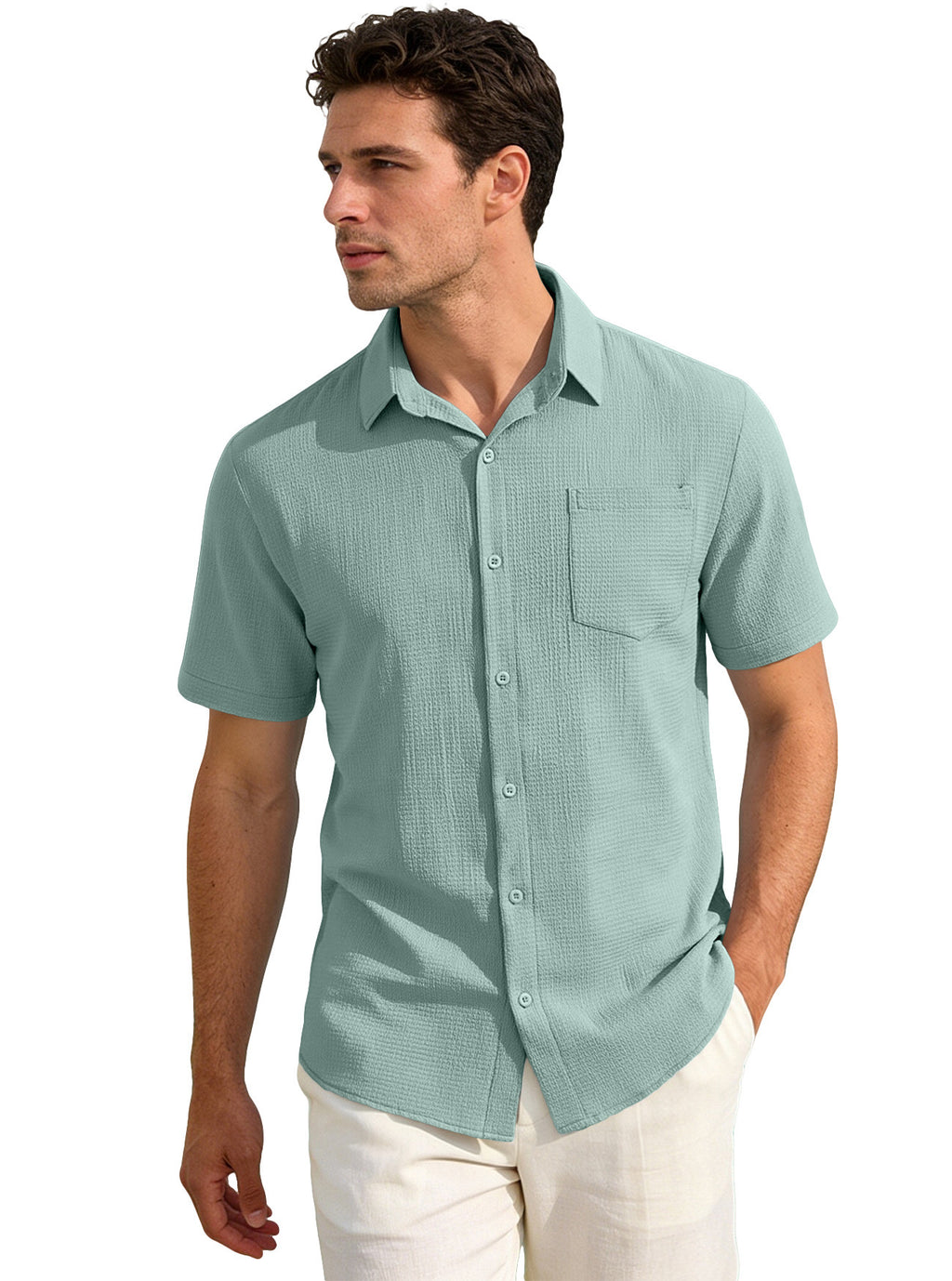 Men's Business Casual Summer Shirt